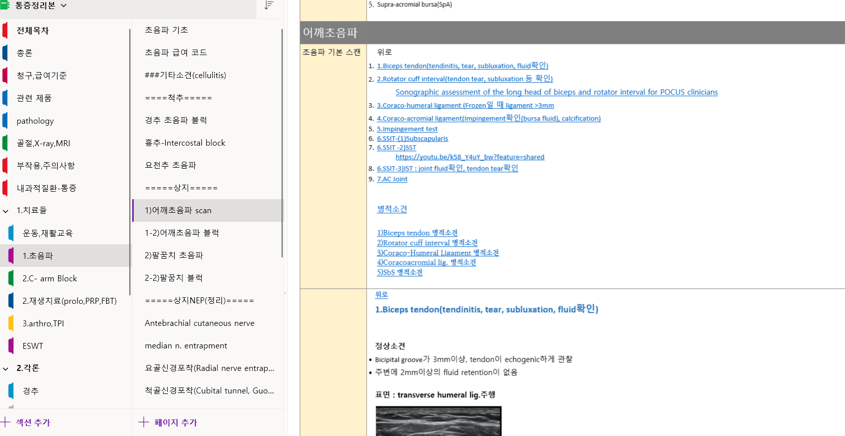 통증 예시화면 - 어깨초음파